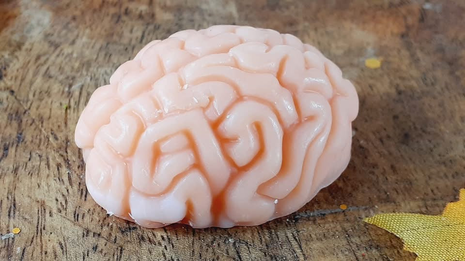 🧟 “Zomb’arôme – La cervelle qui embaume”