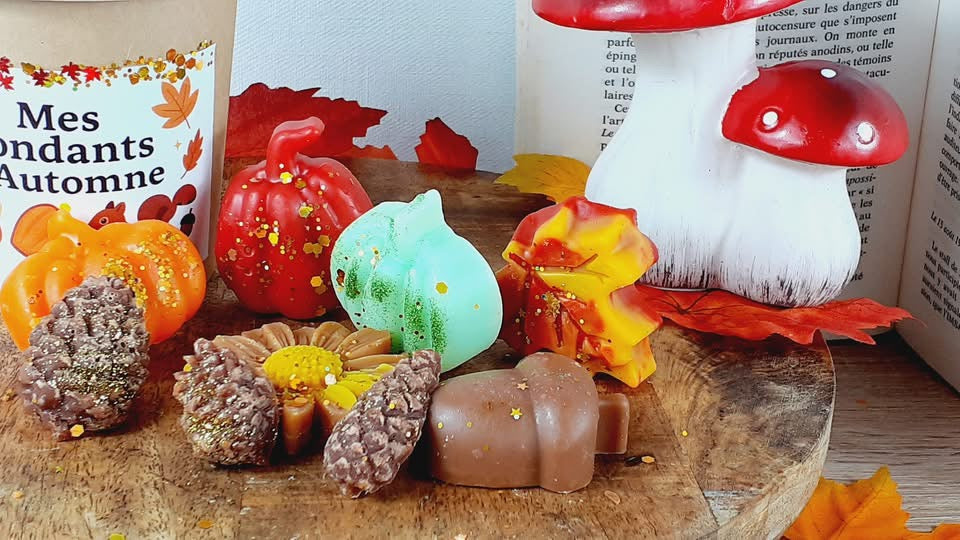 Boîte de fondants d’Automne - 140g - Cire d’olive